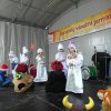 Karvinský vánoční jarmark
