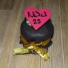 Ples NDU - 25. výročí