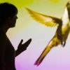 XIX. ročník ezoterického festivalu, 18.-19. 3. 2017