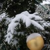 Karvinský vánoční jarmark, 27. 11 - 23. 12. 2022